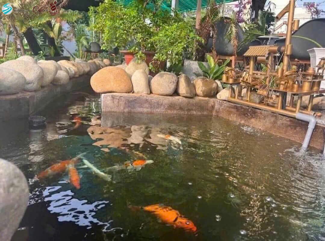 z6486634018571_e514119f441df00b3740c5f7088f74c8